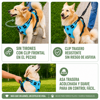 Arnés Anti-Tirones ZenDog™ | Paseos sin Jalones